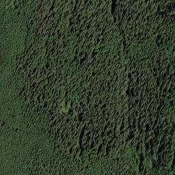 Whatcom County map(satellite map)
