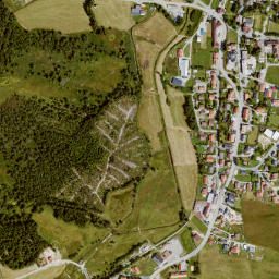 Haidmühle map(satellite map)