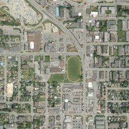 Duncan map(satellite map)