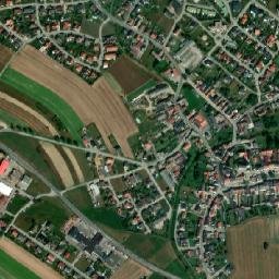 Vitis map(satellite map)