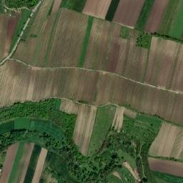 Schrattenthal map(satellite map)