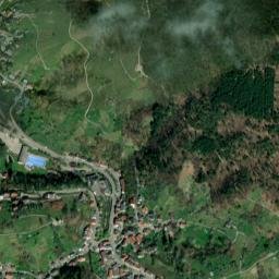 Bühlertal map(satellite map)