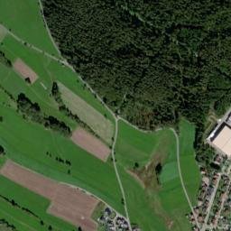 Neuweiler map(satellite map)