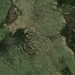 Novomoskovsk Raion map(satellite map)