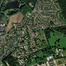 Tigery map(satellite map)