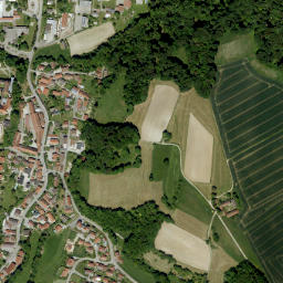Niederviehbach map(satellite map)