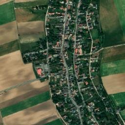 Niederleis map(satellite map)