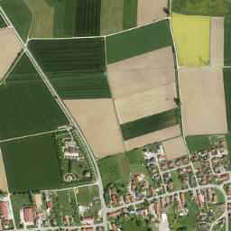 Laugna map(satellite map)