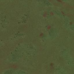 Birobidzhanskiy Rayon map(satellite map)