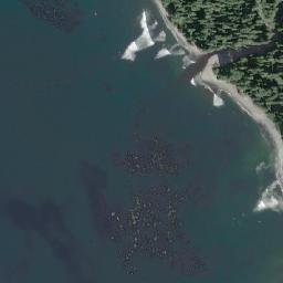 Satellite view of Chicken's