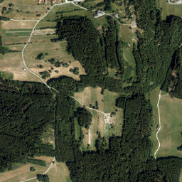 Schönbach map(satellite map)