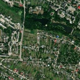 Briceni map(satellite map)
