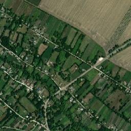 Briceni map(satellite map)