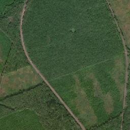Záhonyi Járás map(satellite map)