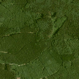 Swabia map(satellite map)