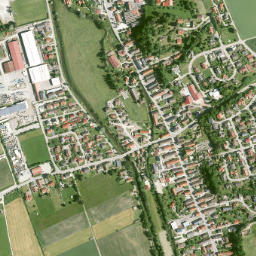 Münsterhausen map(satellite map)