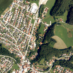 Reischach map(satellite map)