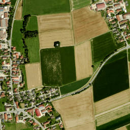 Moosinning map(satellite map)