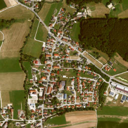 Mickhausen map(satellite map)