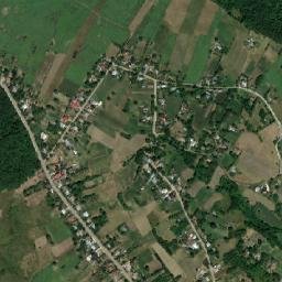 Conceşti map(satellite map)