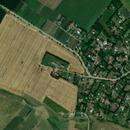Viişoara map(satellite map)