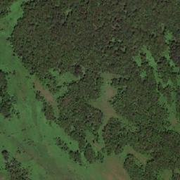 Oktyabr’skiy Rayon map(satellite map)