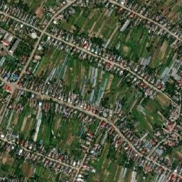 Oleshnyk map(satellite map)