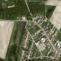 Eckartsau map(satellite map)