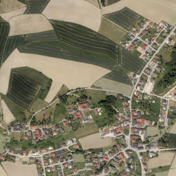 Bachmanning map(satellite map)