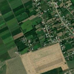 Coţuşca map(satellite map)
