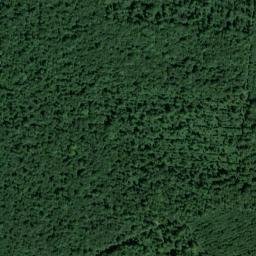 Haute-Marne map(satellite map)