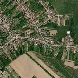 Tarpa map(satellite map)