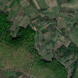 Comuna Tarna Mare map(satellite map)