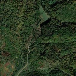 Tiachiv Raion map(satellite map)