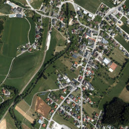 Wang map(satellite map)