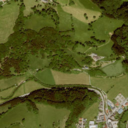 Randegg map(satellite map)