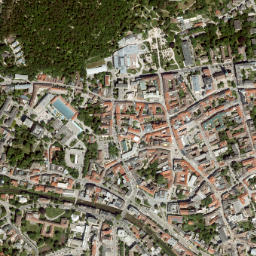 Baden map(satellite map)