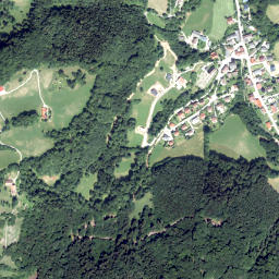 Loich map(satellite map)