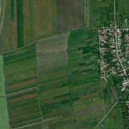 Ripiceni map(satellite map)