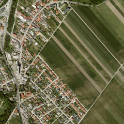 Günselsdorf map(satellite map)