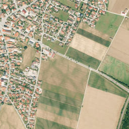 Pforzen map(satellite map)