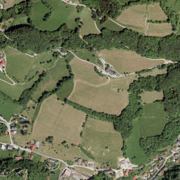 Losenstein map(satellite map)