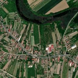 Ököritófülpös map(satellite map)