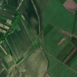 Negostina map(satellite map)