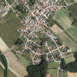 Landegg map(satellite map)