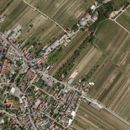 Mönchhof map(satellite map)