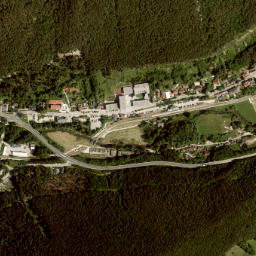 Waldegg map(satellite map)