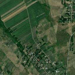 Nicşeni map(satellite map)