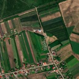 Dumbrava map(satellite map)