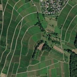 Auggen map(satellite map)